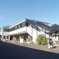 東京女子学院幼稚園