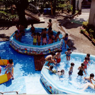 徳育幼稚園の写真5