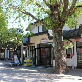 中野小鳩幼稚園