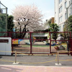 中野たから幼稚園