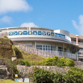 きらら保育園