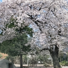 下落合みどり幼稚園