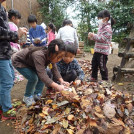 下落合みどり幼稚園の写真4
