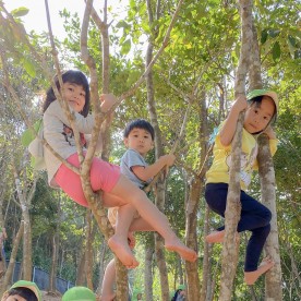 子どもの森保育園の写真2