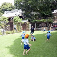 まこと幼稚園の写真5