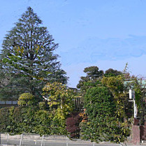 井草幼稚園
