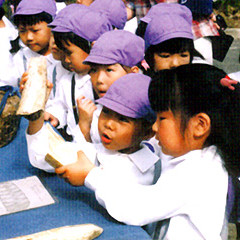 せいしん幼稚園の写真3