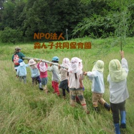特定非営利法人森ん子共同保育園