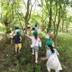 コマクサ幼稚園の写真4