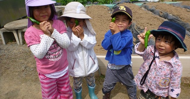 野外幼児教育「しんぐう里山ようちえん」
