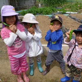 野外幼児教育「しんぐう里山ようちえん」の写真2