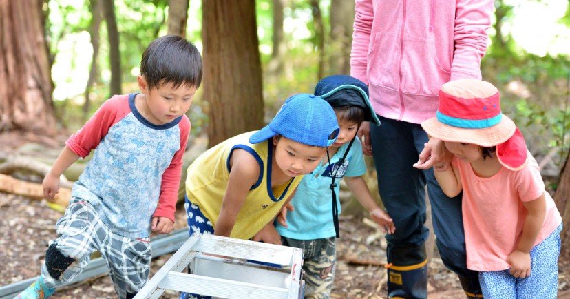 野外幼児教育「しんぐう里山ようちえん」