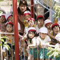 平尾わかば幼稚園の写真2