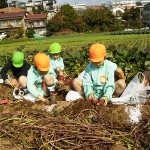 池上みどり幼稚園の写真4
