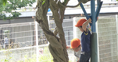 文化学園大学附属すみれ幼椎園