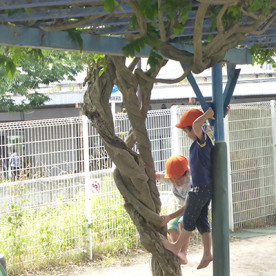 文化学園大学附属すみれ幼椎園の写真2
