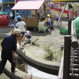 武蔵みどり幼稚園の写真2