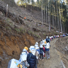 平塚幼稚園の写真3