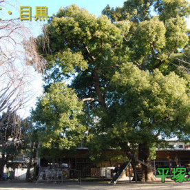 平塚幼稚園