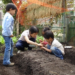 平塚幼稚園の写真4