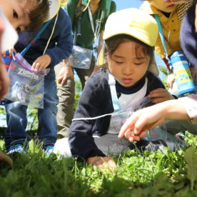 聖徳幼稚園の写真3