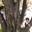 大和郷幼稚園の写真5