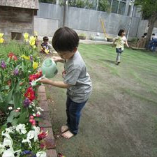 代田幼稚園の写真2
