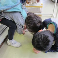 代田幼稚園の写真3