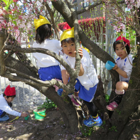 調布幼稚園の写真5