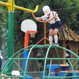 みょうじょう幼稚園の写真5