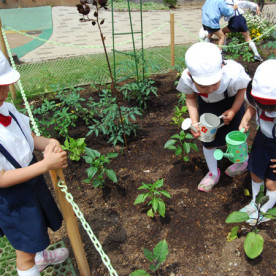 みょうじょう幼稚園の写真4