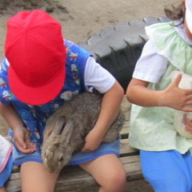 豊島なでしこ幼稚園の写真2