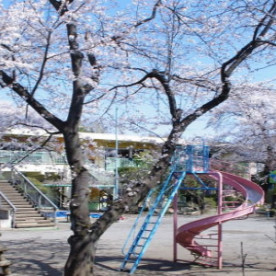 豊島なでしこ幼稚園