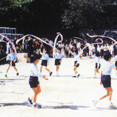若葉会幼稚園の写真3
