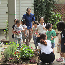 松沢幼稚園の写真3