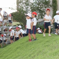 世田谷若葉幼稚園の写真4