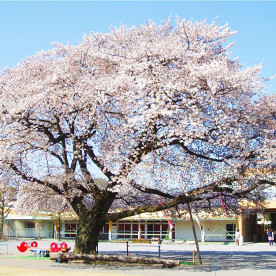久留米神明幼稚園