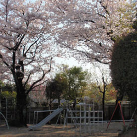 上野毛幼稚園