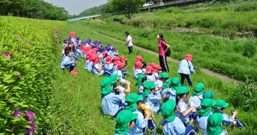 国本幼稚園