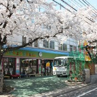 明善幼稚園の写真2