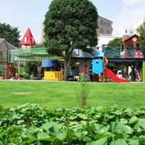 若竹幼稚園の写真3
