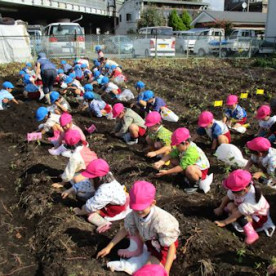 保恵学園幼稚園の写真4