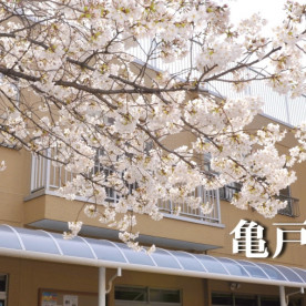 亀戸幼稚園の写真4