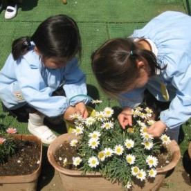 愛珠幼稚園の写真4