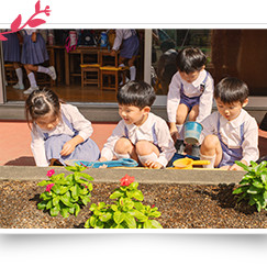 枝光会駒場幼稚園の写真5