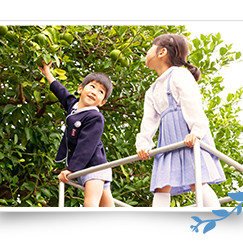 枝光学園幼稚園の写真5