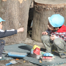 日新幼稚園の写真4