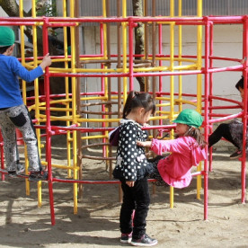 日新幼稚園の写真5