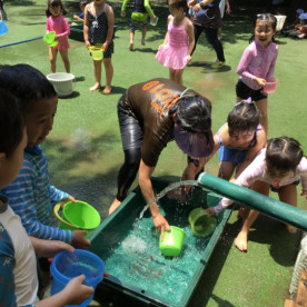 パール幼稚園の写真2