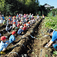 子鹿幼稚園の写真5